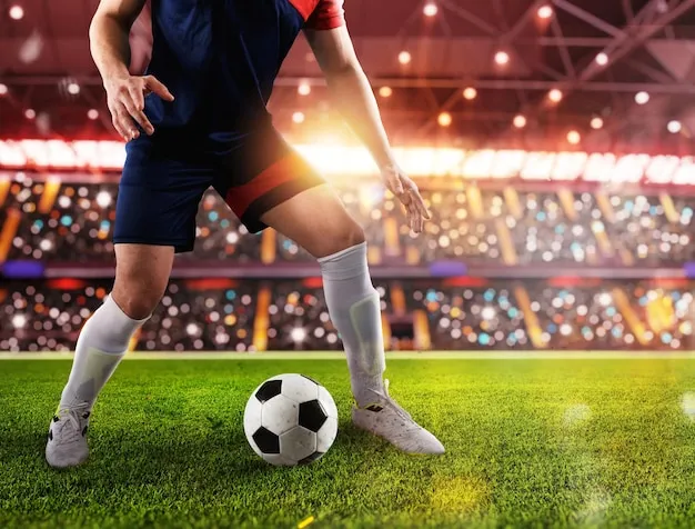 半岛体育应用界面展示